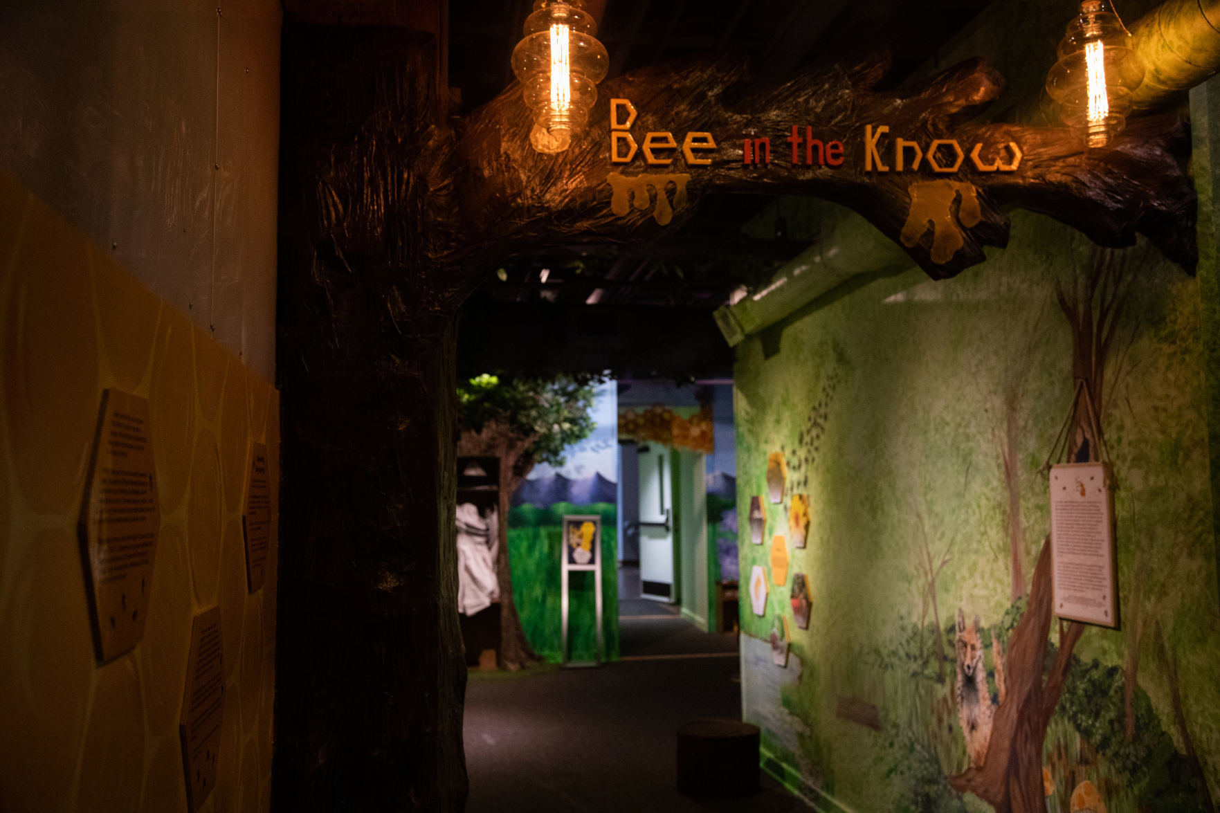 Bees 25